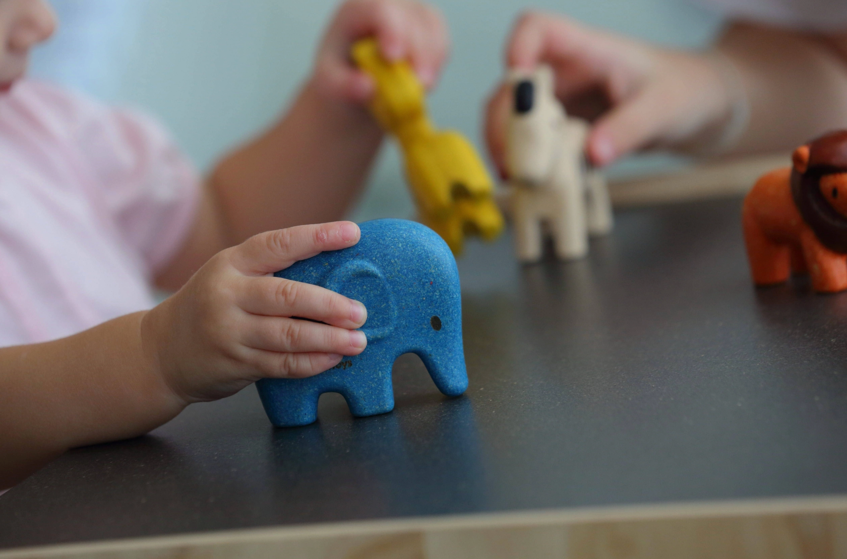 PLAN TOYS - Wild Animals Set