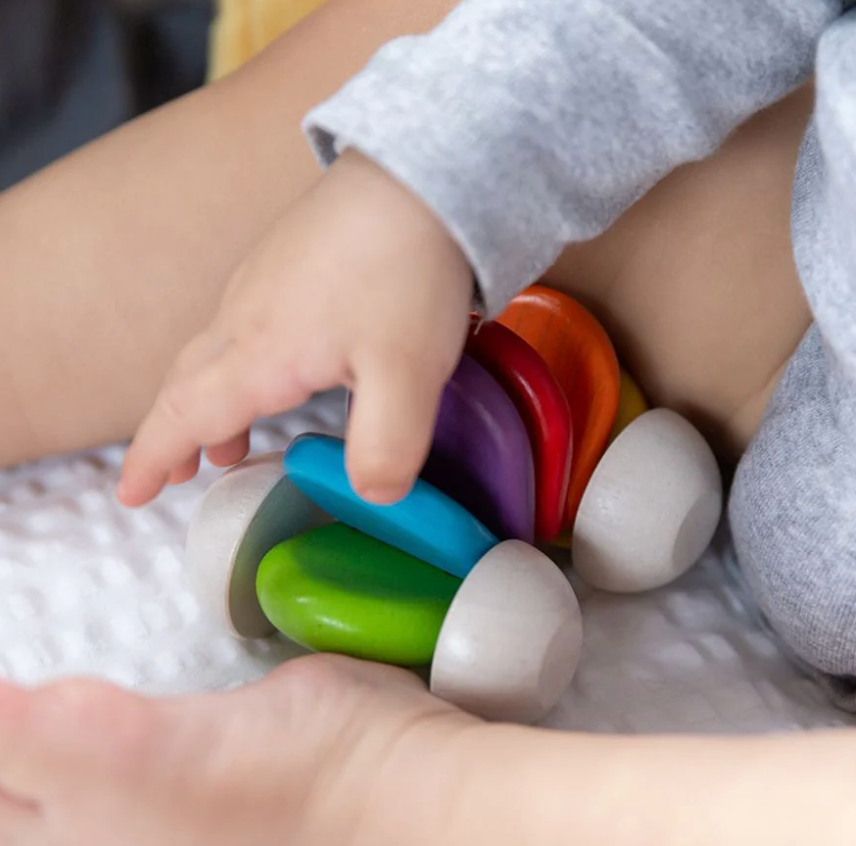 PLAN TOYS - Baby Car