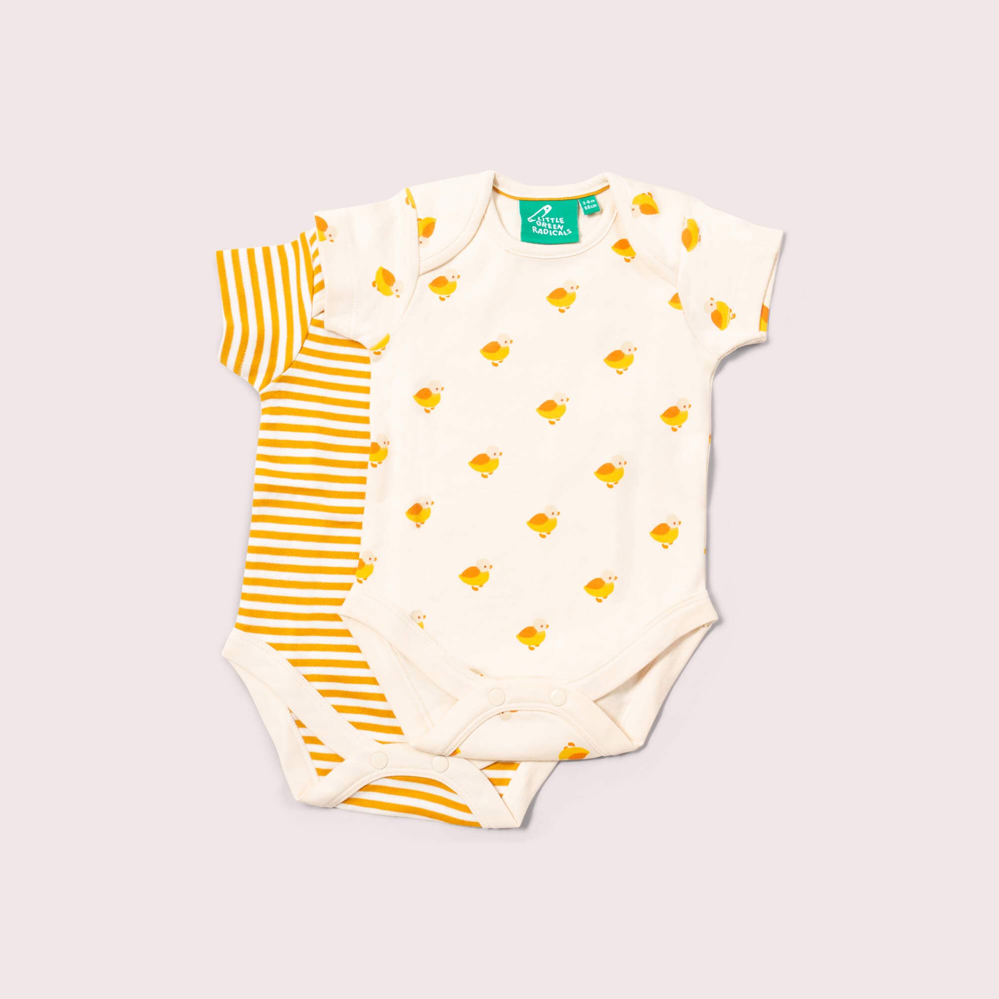 LITTLE GREEN RADICALS - Little Ducks Baby Bodysuit Set (2 Pack)