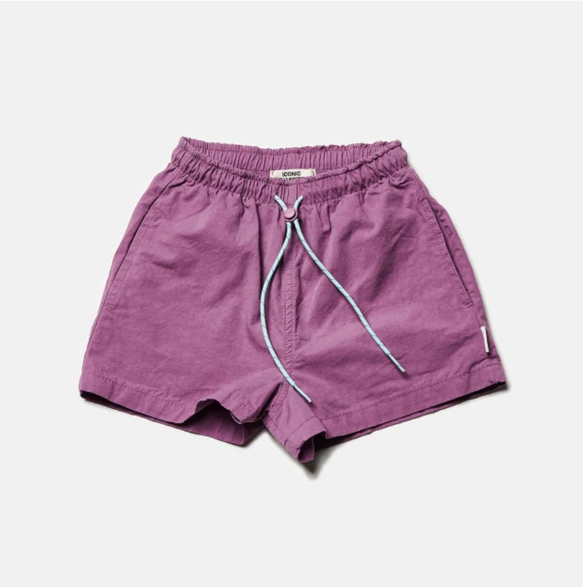 Coast Shorts in Purple