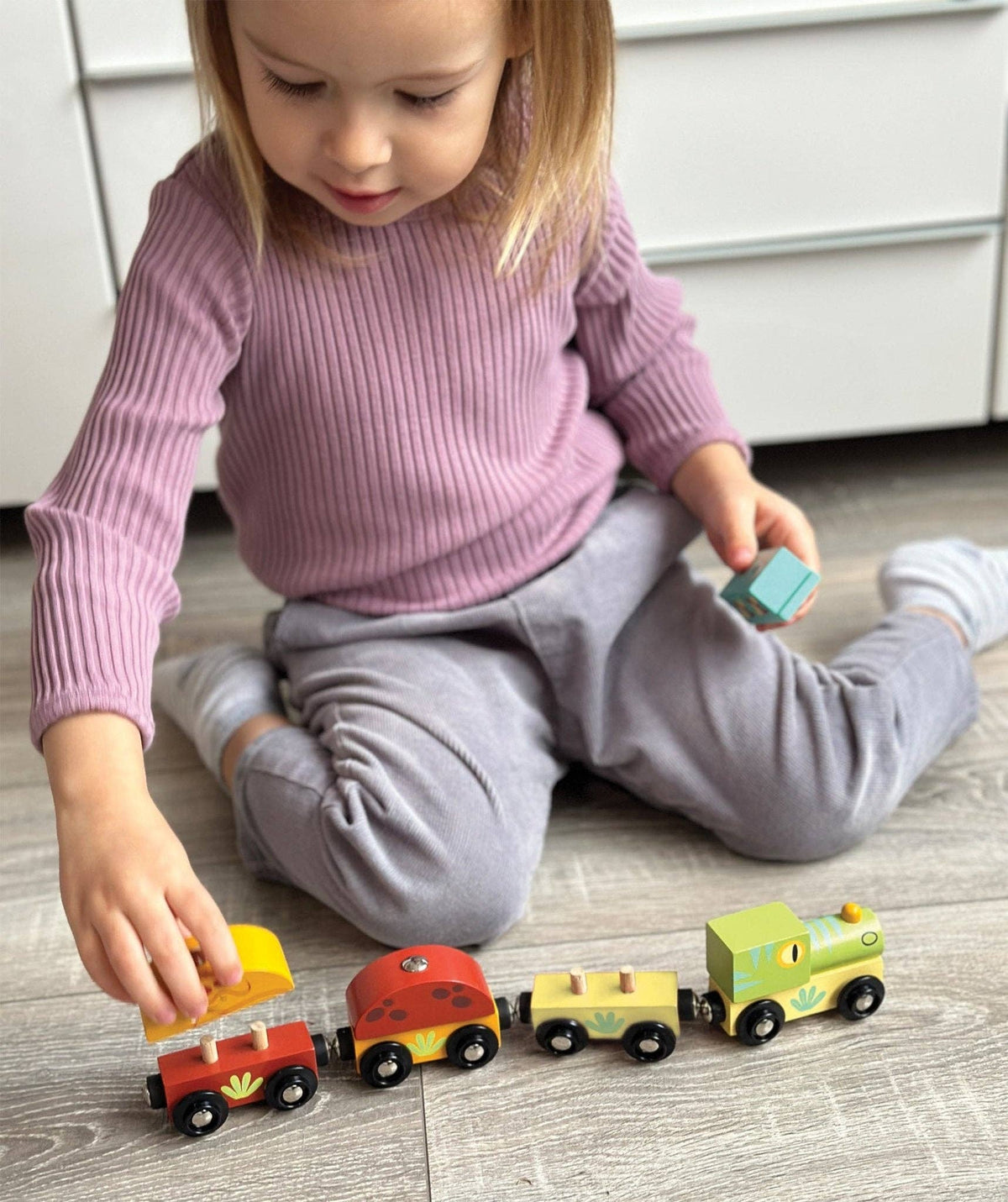 The Wooden Dinosaur Train