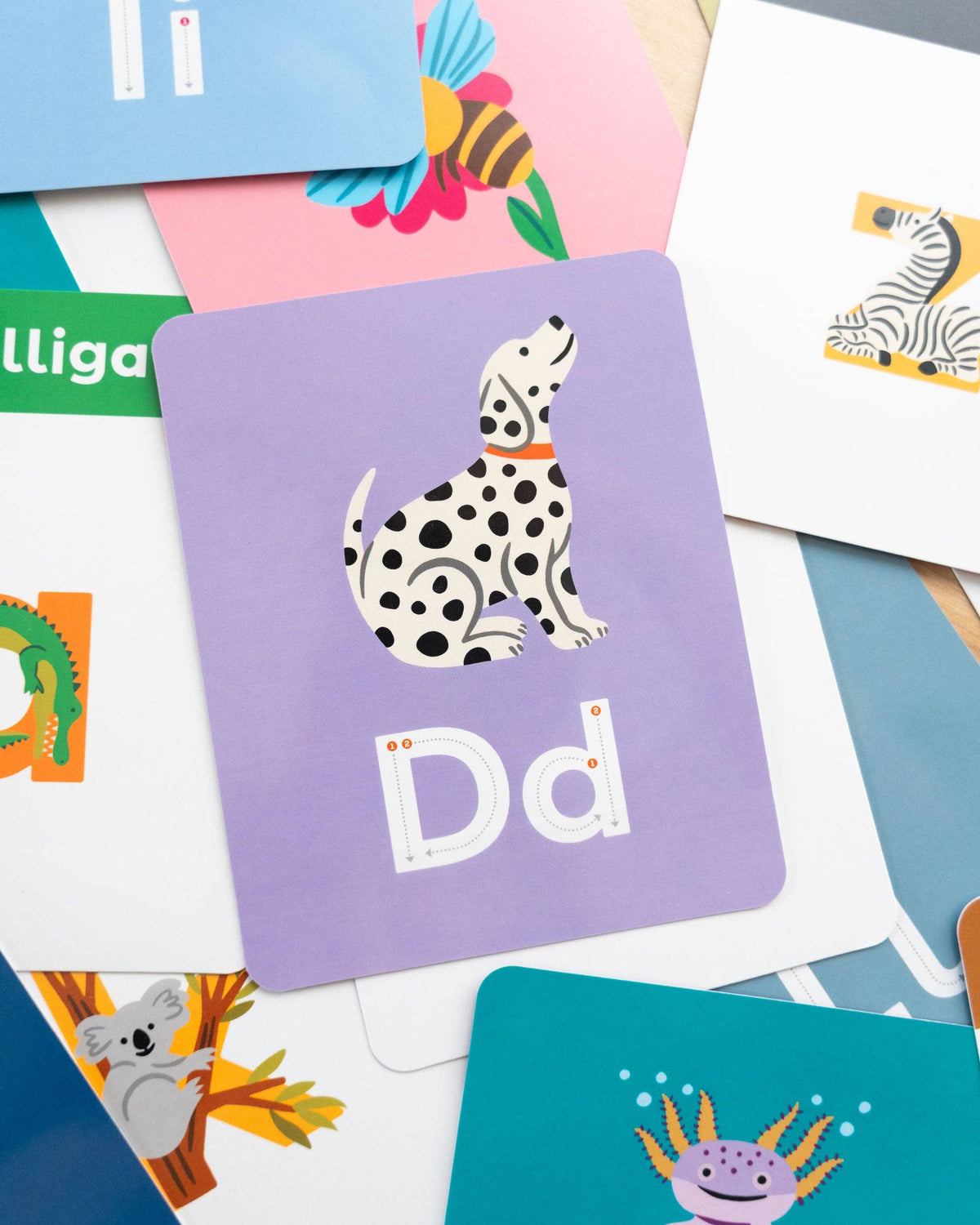 THE TYPE SET CO Animals A to Z Alphabet Flashcards
