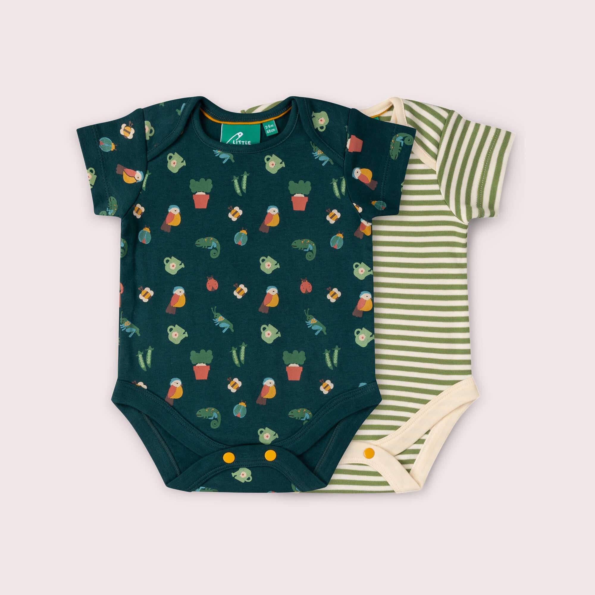 LITTLE GREEN RADICALS Spring Garden Organic Set