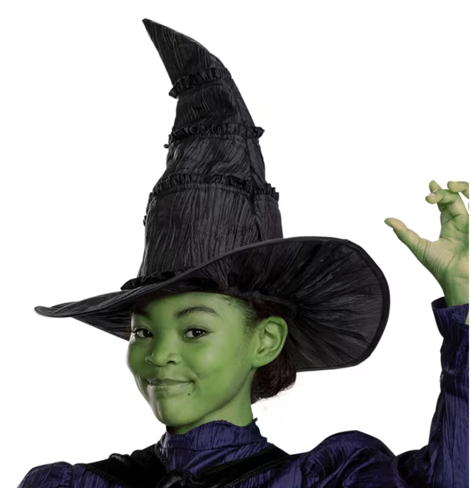 Deluxe Wicked™ Elphaba Purple Dress Costume