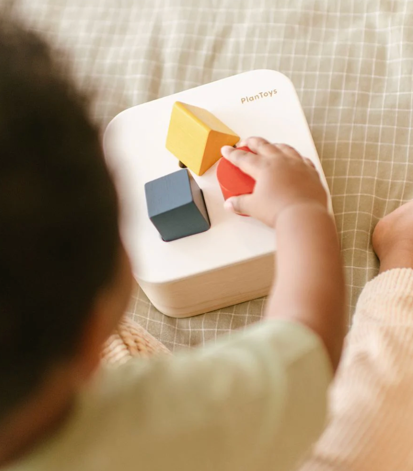 PLAN TOYS Shape & Sort It Out Bin