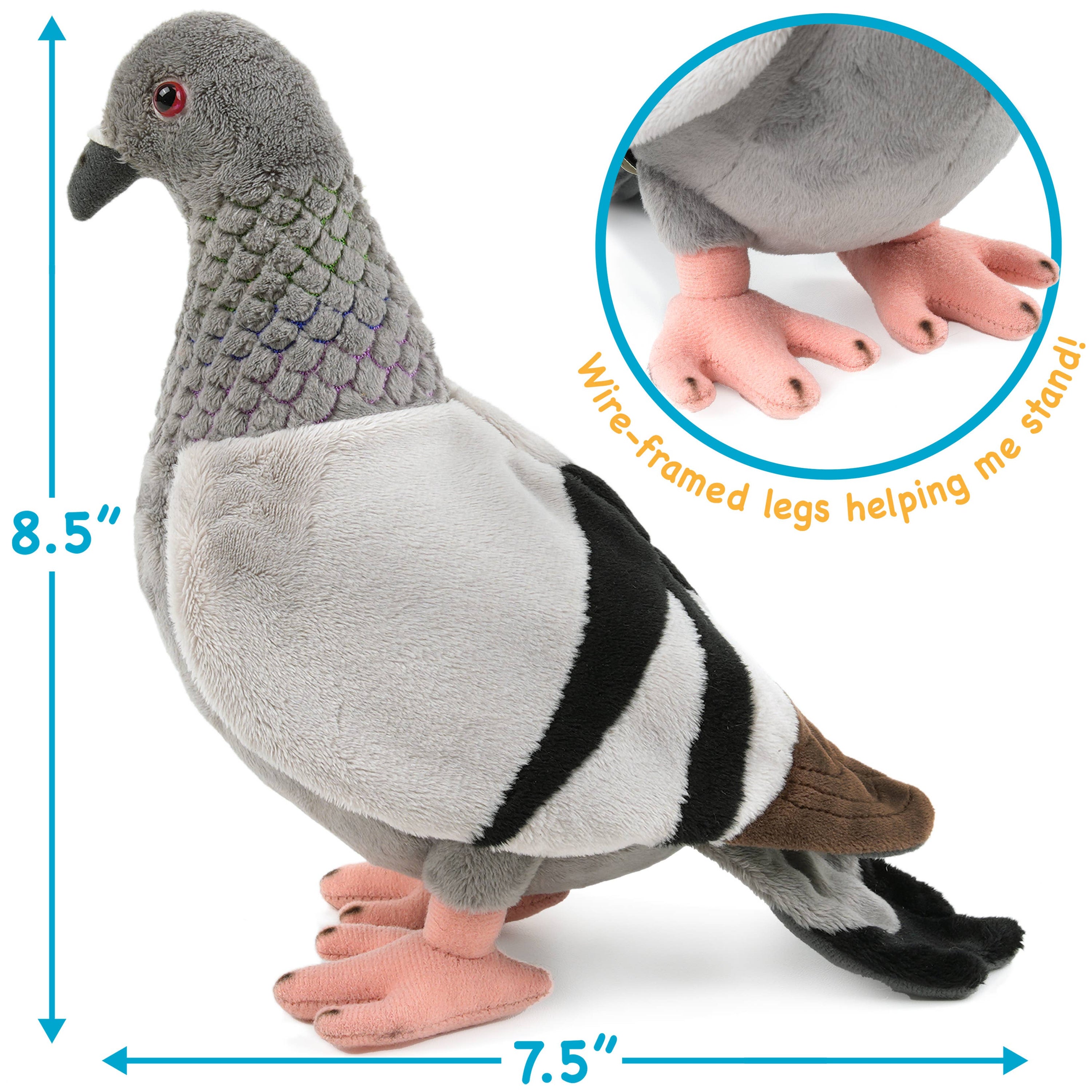 Pepper The Pigeon