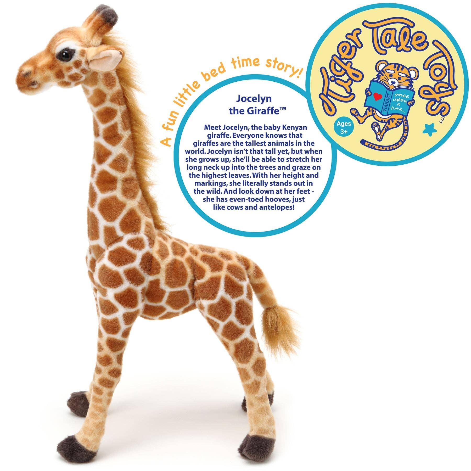 Jocelyn The Giraffe