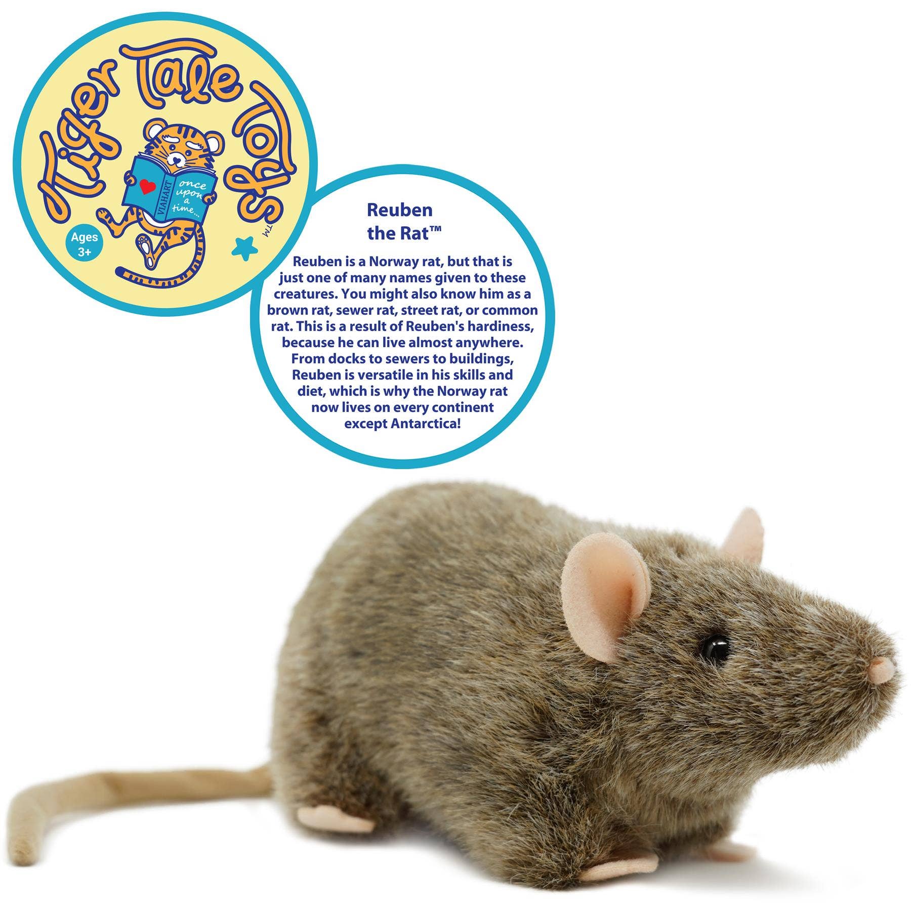 Reuben The Rat