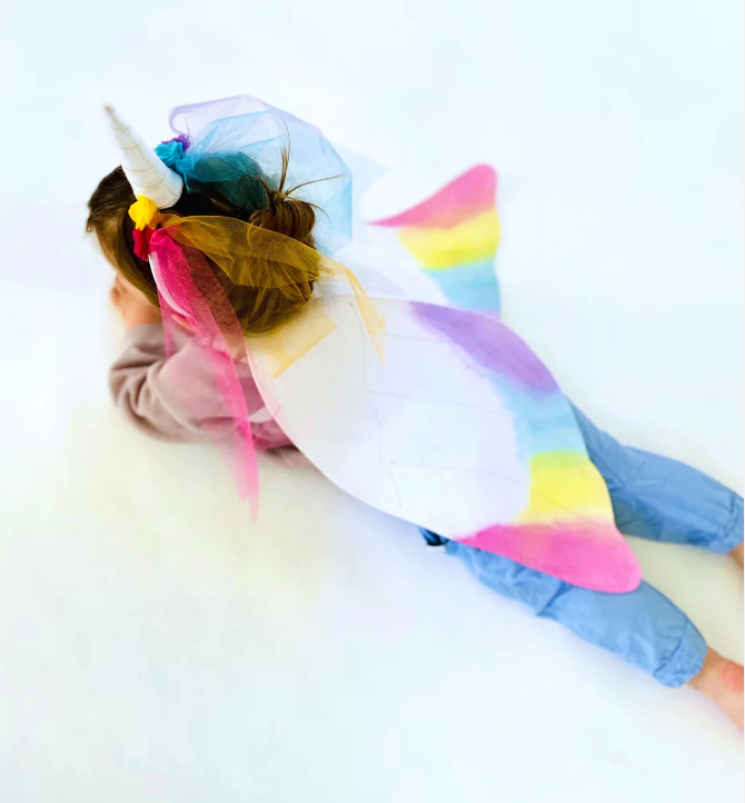 Unicorn Costume Wings