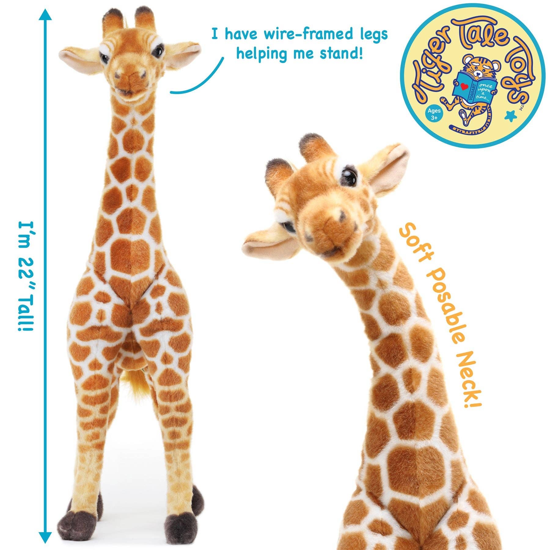 Jocelyn The Giraffe