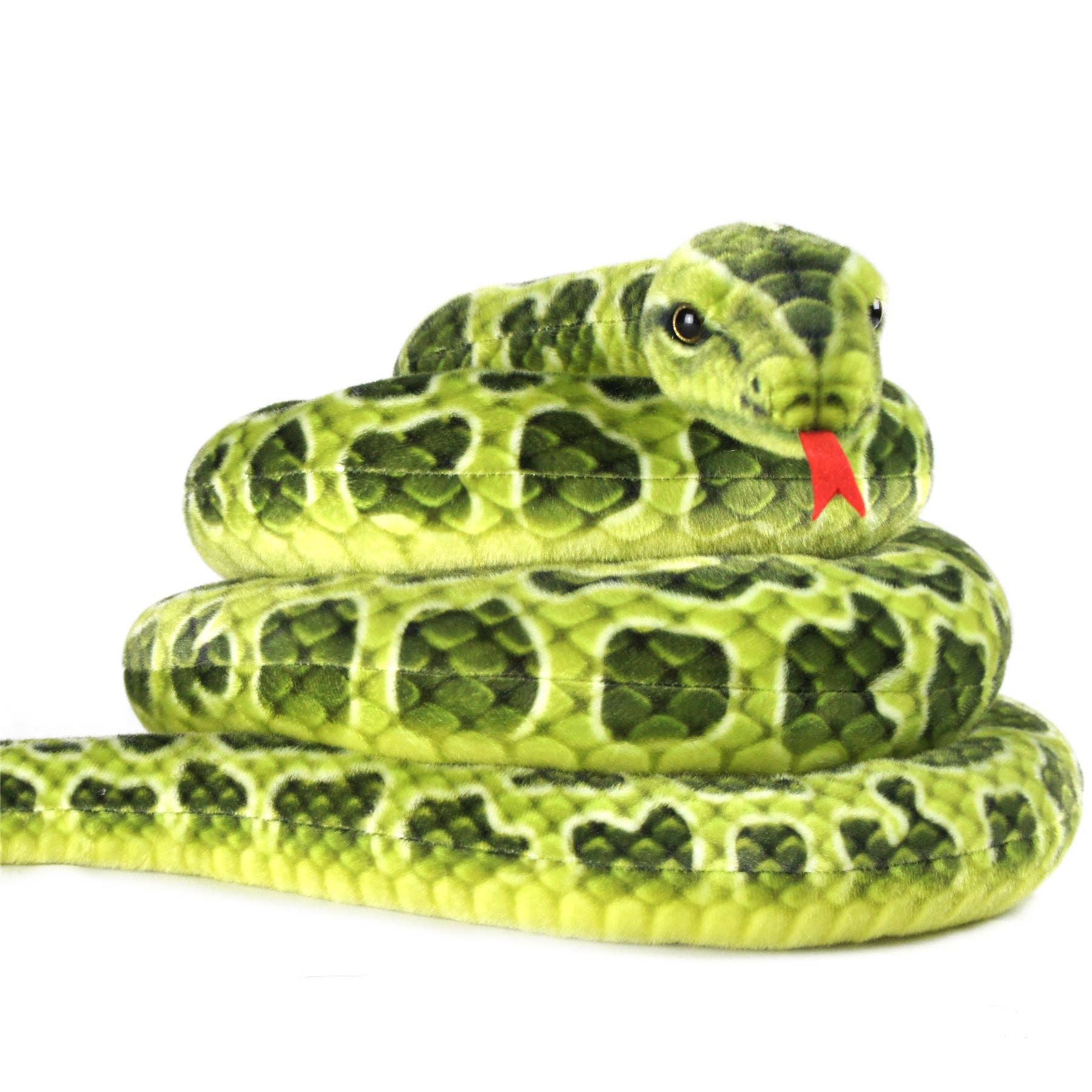 Gustavo The Green Anaconda