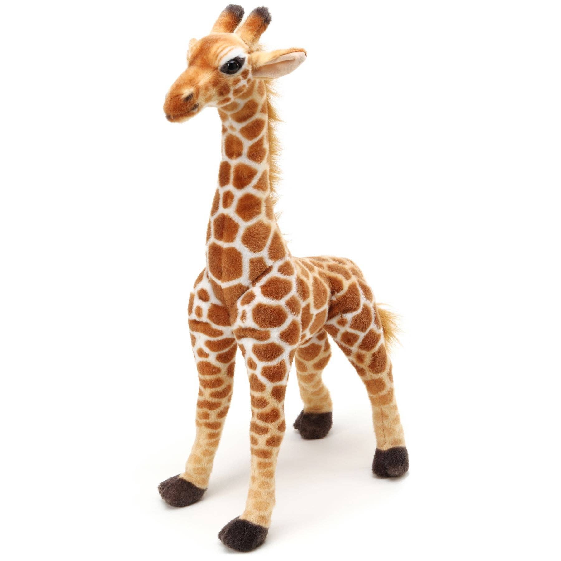 Jocelyn The Giraffe