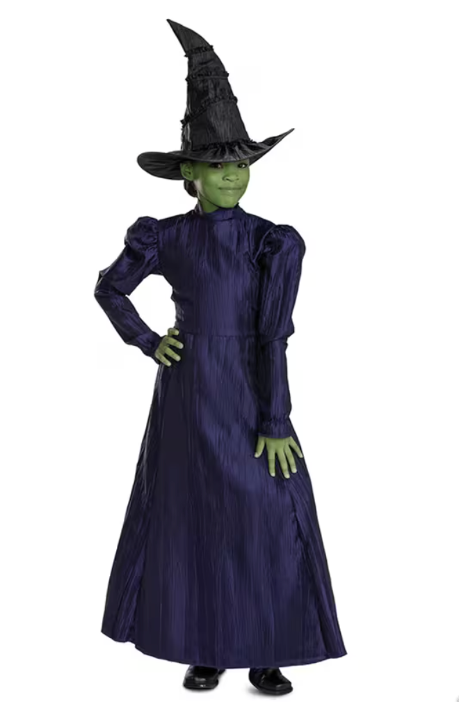 Deluxe Wicked™ Elphaba Purple Dress Costume