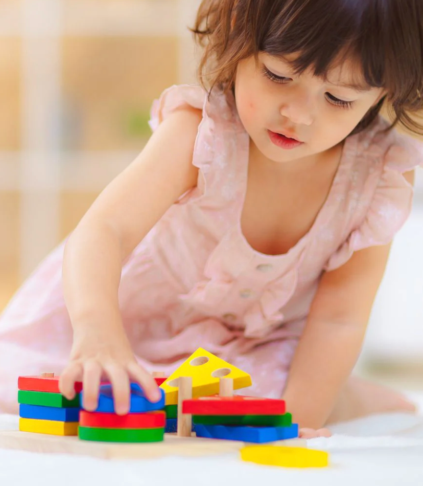 PLAN TOYS Geometric Sorting Board