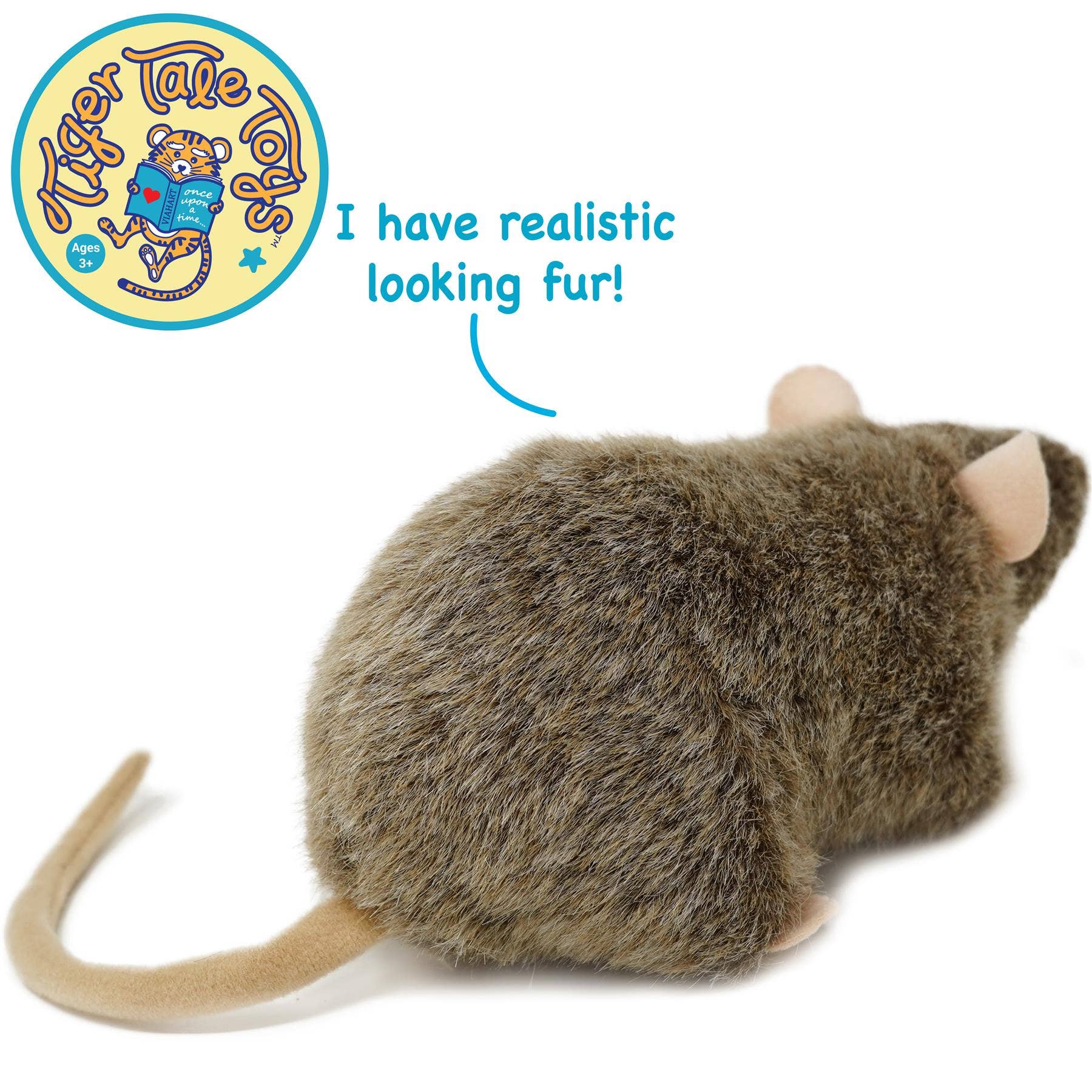 Reuben The Rat