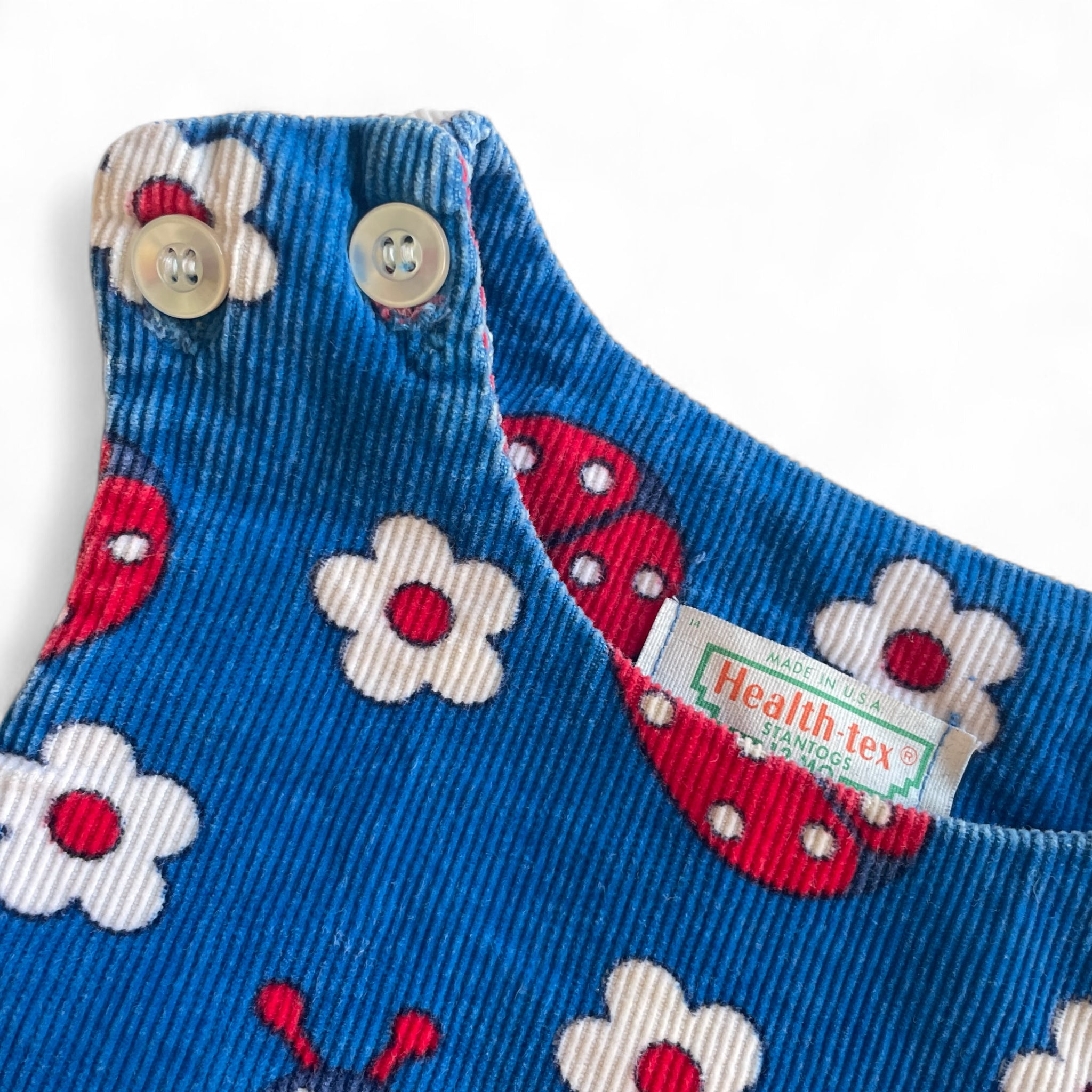 REPLAY - 12M - Healthtex Corduroy Ladybug Dress