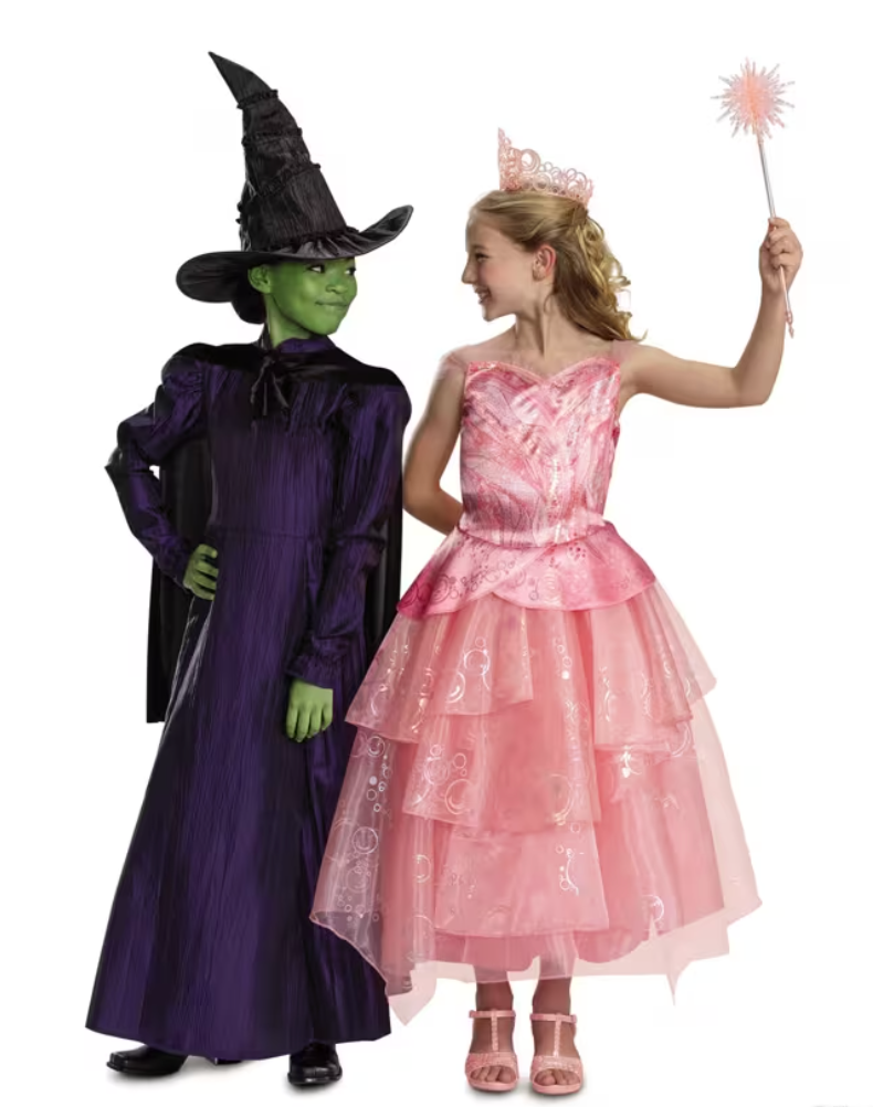 Deluxe Wicked™ Elphaba Purple Dress Costume