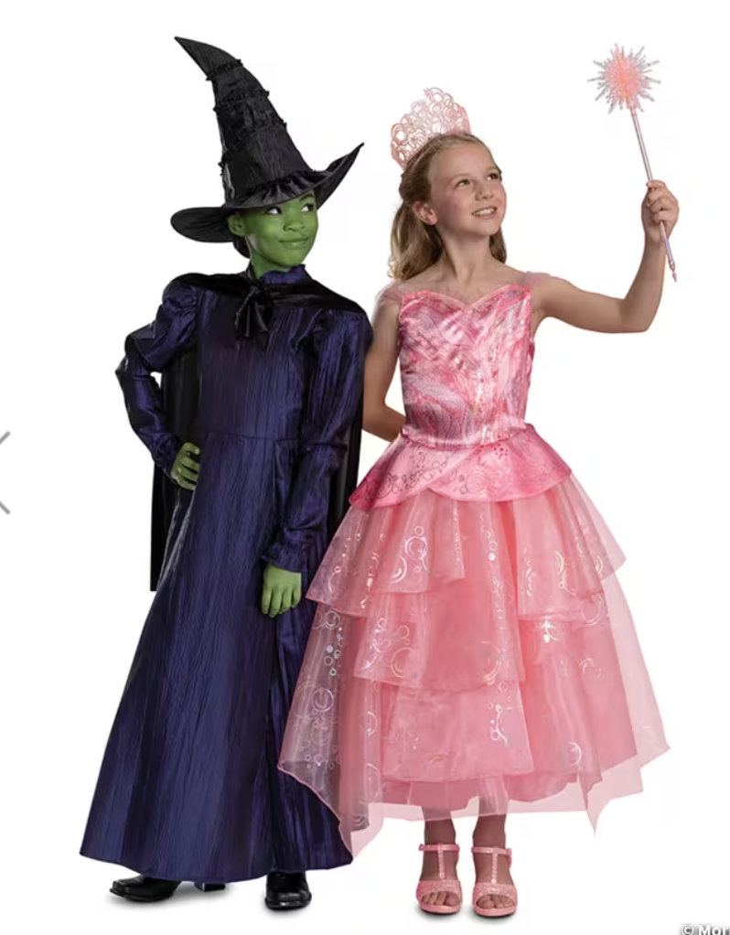 Deluxe Wicked™ Elphaba Purple Dress Costume