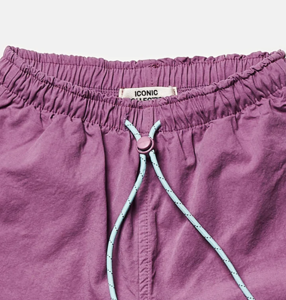 Coast Shorts in Purple