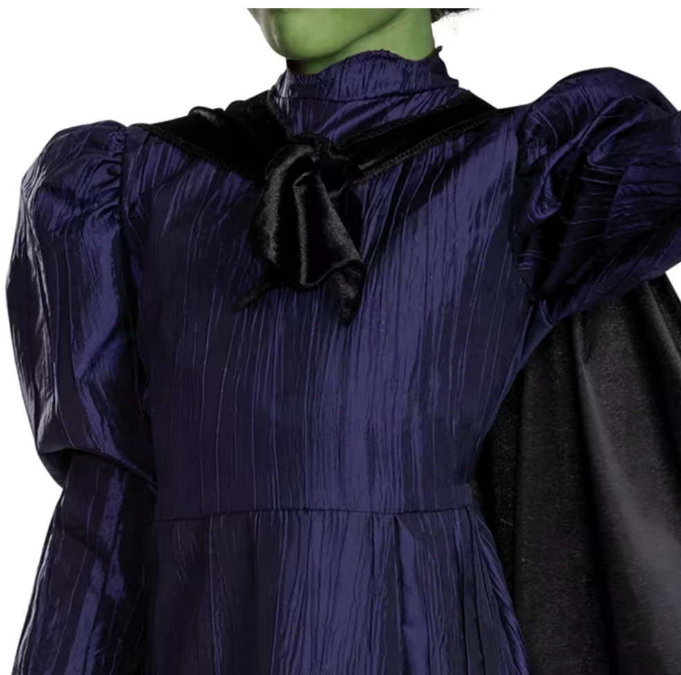 Deluxe Wicked™ Elphaba Purple Dress Costume