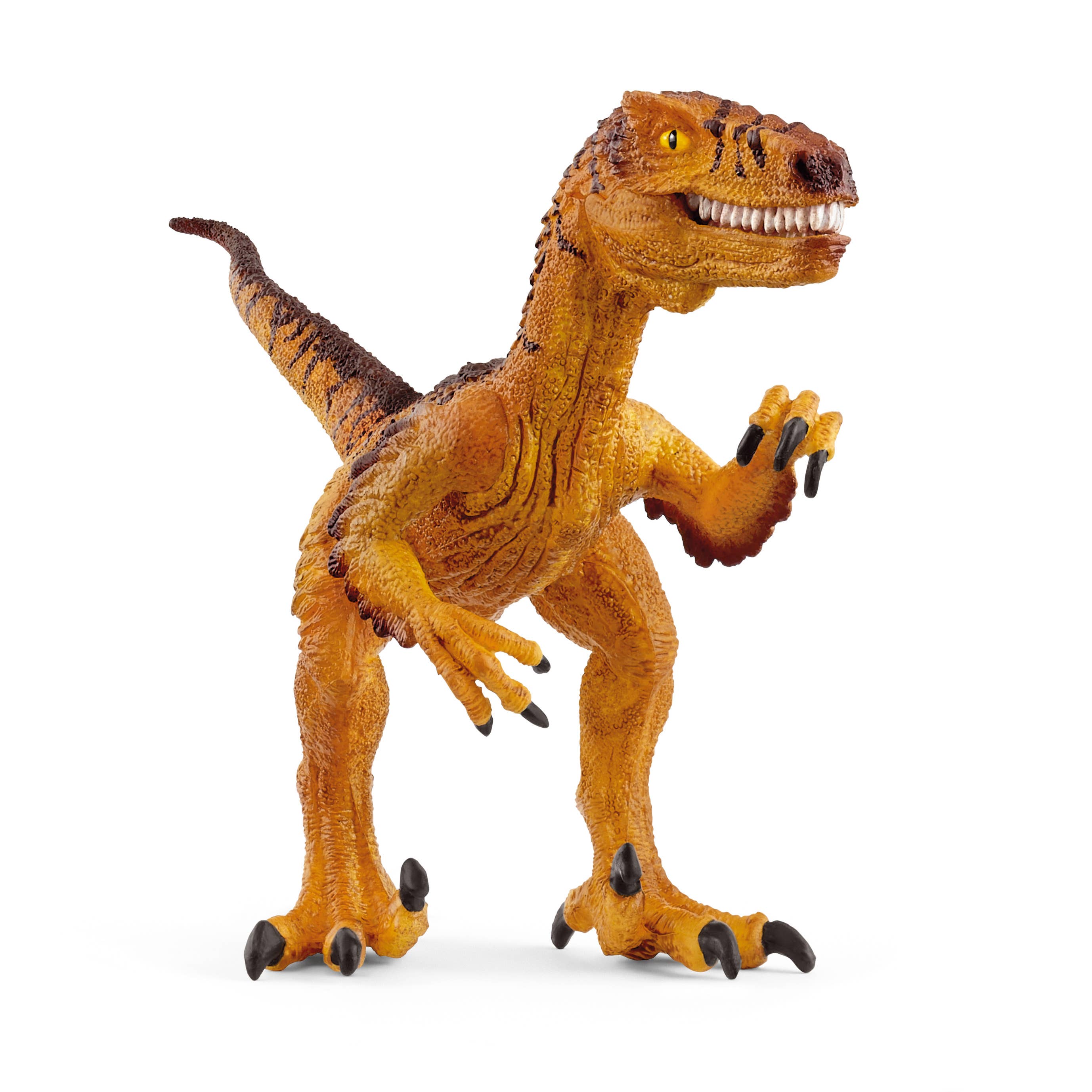 SCHLEICH  Velociraptor