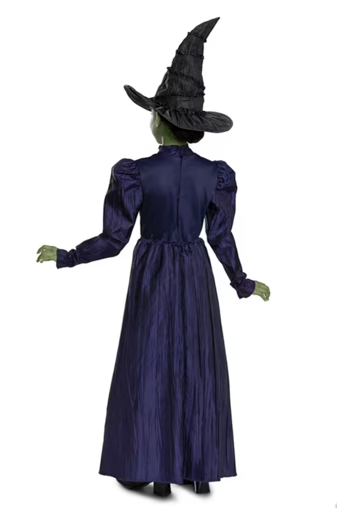 Deluxe Wicked™ Elphaba Purple Dress Costume