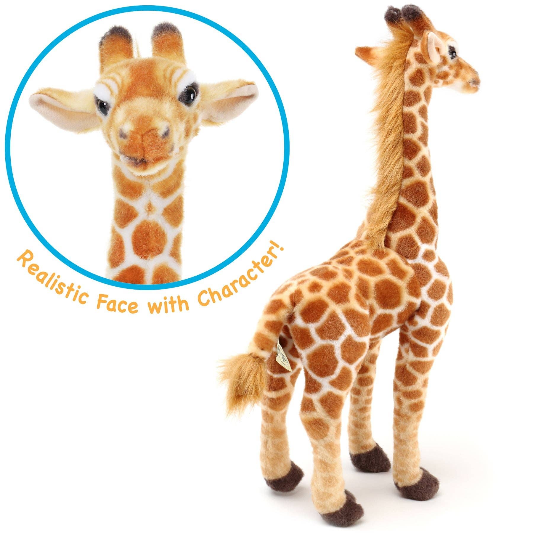 Jocelyn The Giraffe